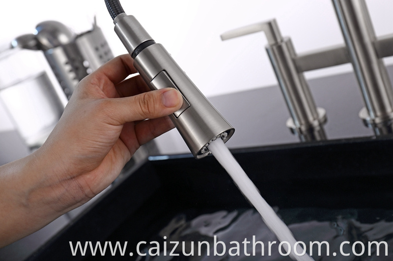 Kitchen Faucets With Pull Down Sprayer